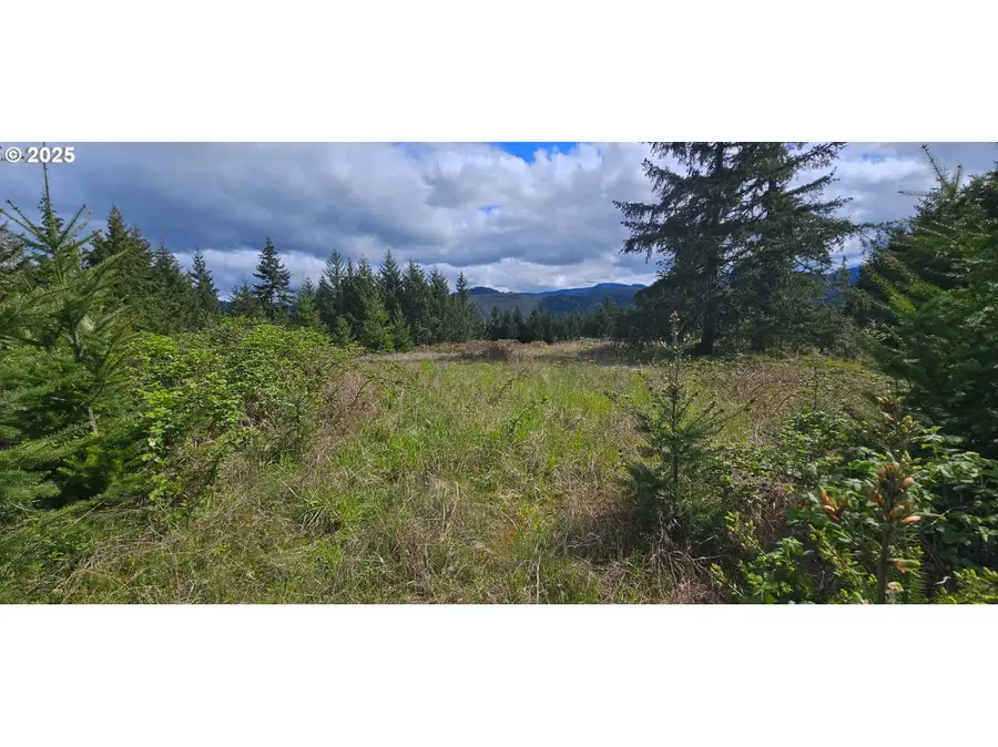 0 Blm Rd. 21-2-15, Dorena, OR 97434 - Image #3