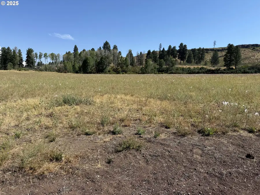 38532 Bennie Ln #9, Chiloquin, OR 97624 - #3