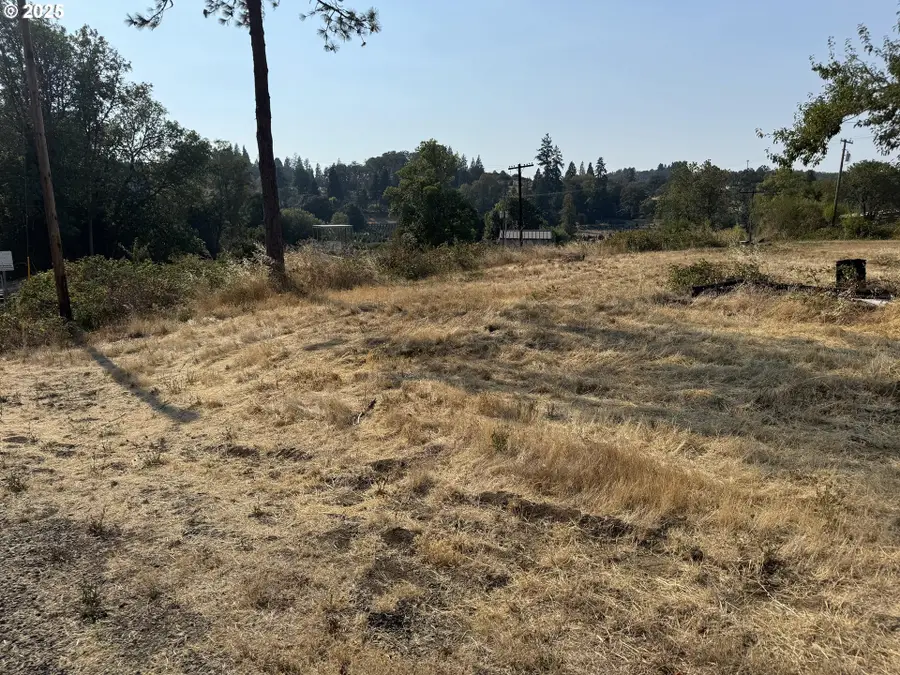 411 NE 1st St, Oakland, OR 97462 - #2