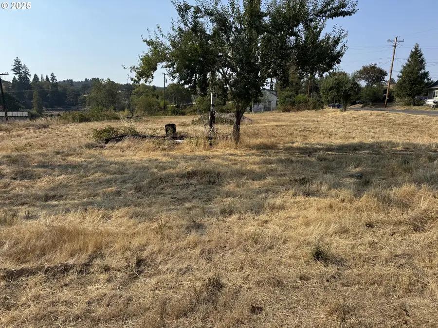 411 NE 1st St, Oakland, OR 97462 - #3