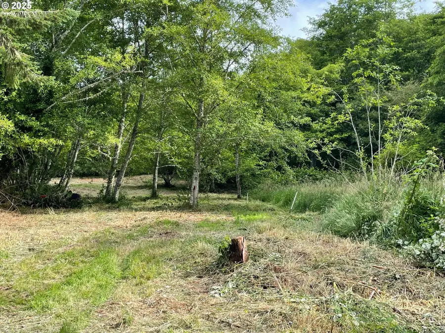 Salminen Rd, Gearhart, OR 97138 - Image #2