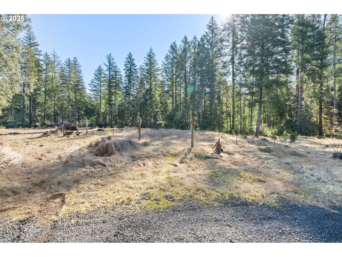 Alma Dr, McKenzie River, OR 97413 - Image #1