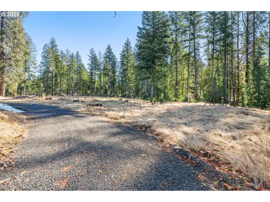 Alma Dr, McKenzie River, OR 97413 - Image #2