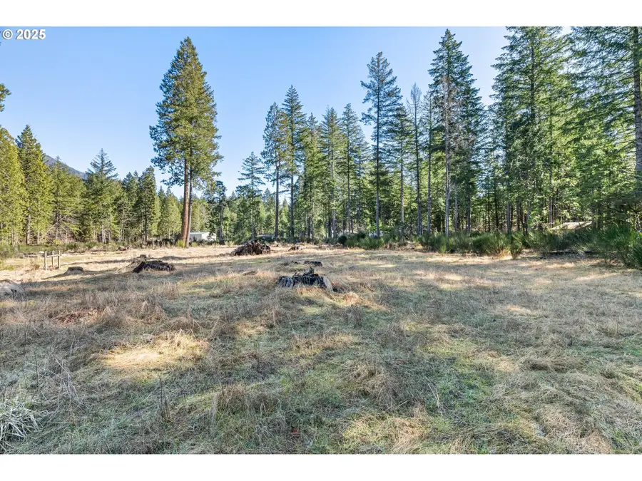 Alma Dr, McKenzie River, OR 97413 - Image #3