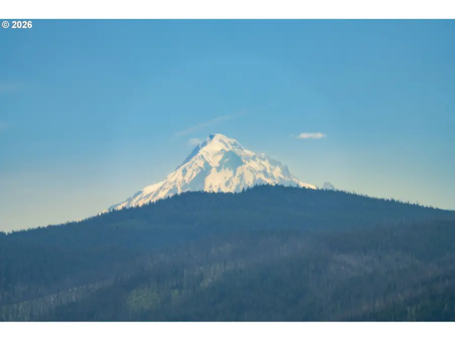 61 Bear Prairie Rd, Washougal, WA 98671 - #2