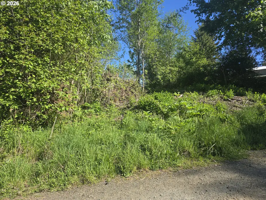 Bear Rd, Elsie, OR 97138 - #3