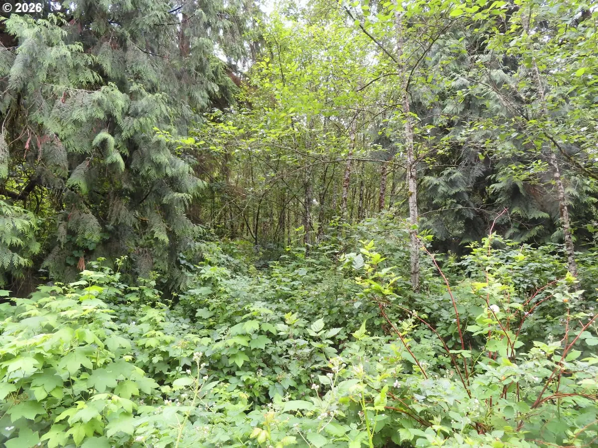Sylvan Way, Longview, WA 98632 - #1