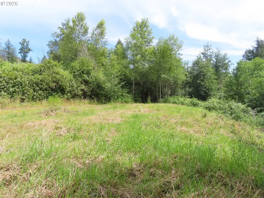 Coleman Rd, Mossyrock, WA 98564 - #2