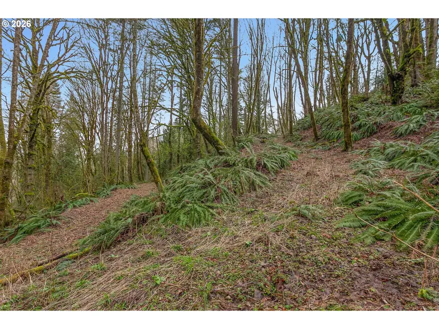 0 NW Summitview Dr, Portland, OR 97229 - Image #2