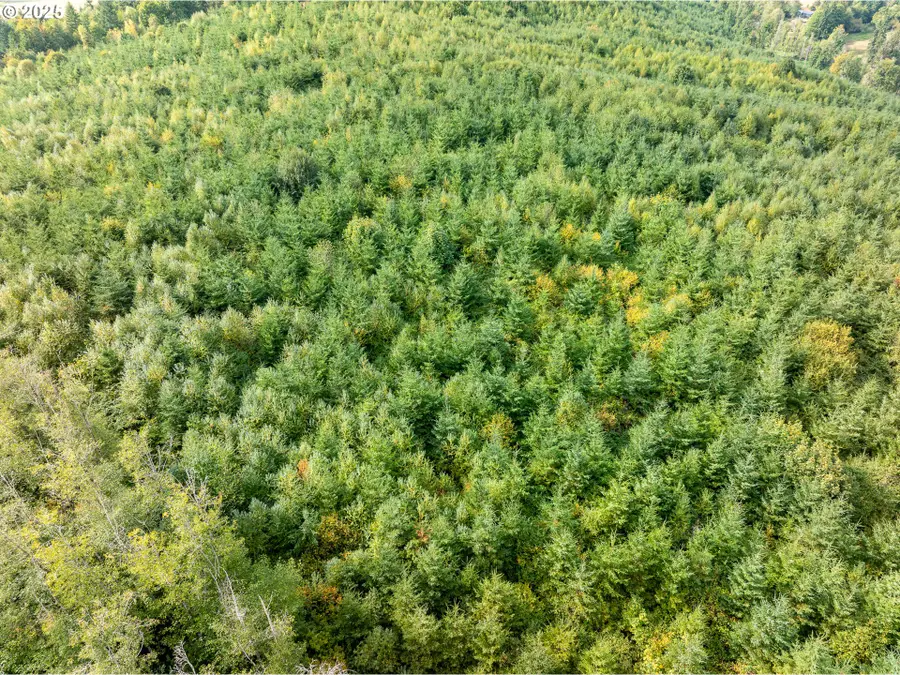 Barker Rd, Goble, OR 97048 - Image #3