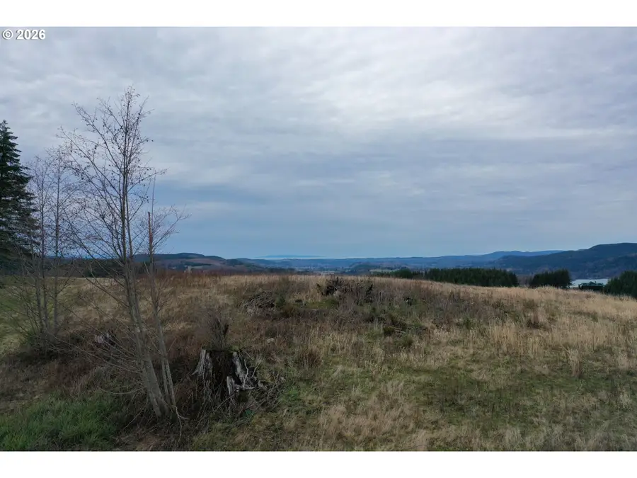 004 Hagen Rd, Mossyrock, WA 98564 - #3