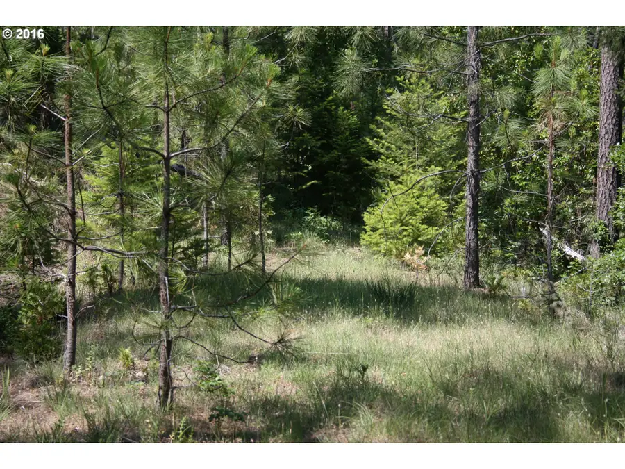 0 Citadel Rd, Trail, OR 97541 - Image #2