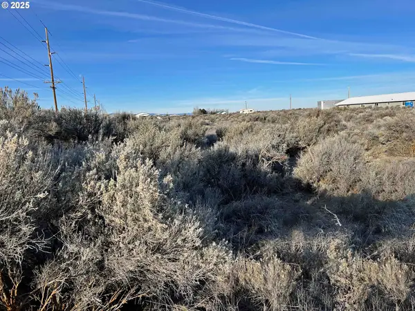 Christmas Valley Hwy #10000, ChristmasValley, OR 97641