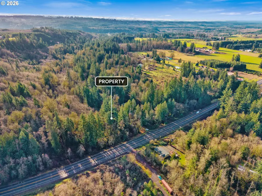 0 Us Highway 12, Mossyrock, WA 98564 - #3