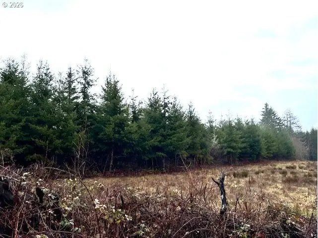76781 Palm Hill Rd, Clatskanie, OR 97016 - #2