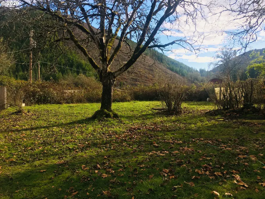 119 Bonanza Mine Rd, Sutherlin, OR 97479 - #3