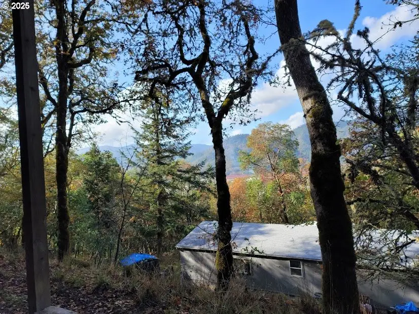 781 Plin St, Tri City, OR 97457 - Image #2