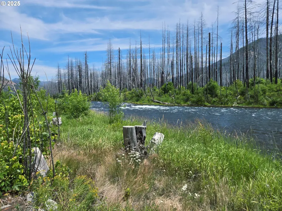 52262 Mckenzie Hwy, McKenzie River, OR 97413 - Image #2