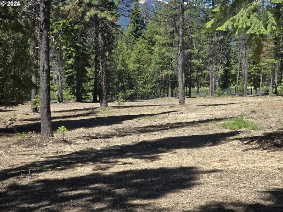 19 Elk Haven, Crescent Lake, OR 97733 - Image #2