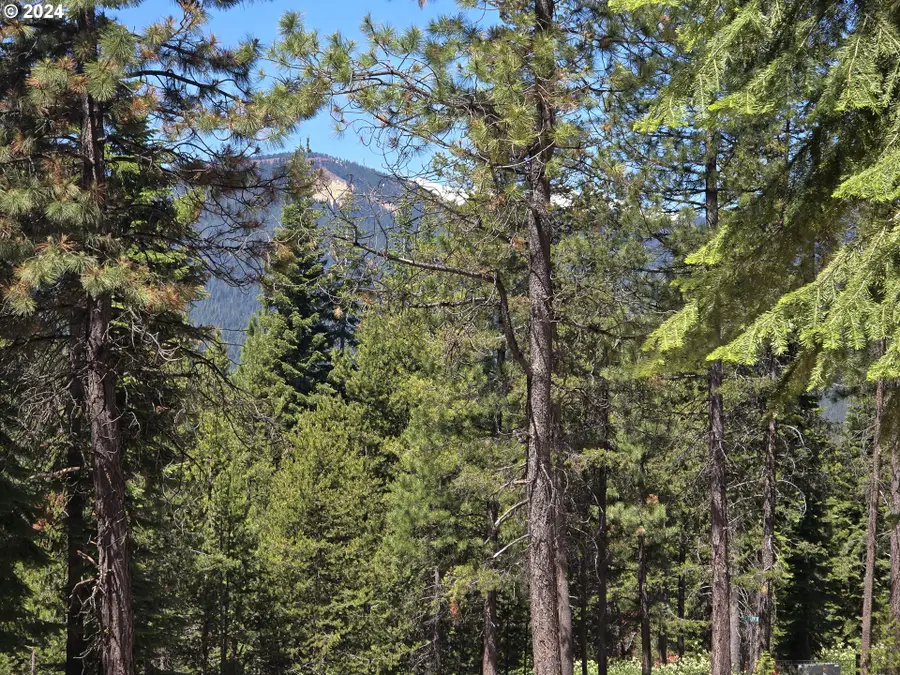 19 Elk Haven, Crescent Lake, OR 97733 - Image #3