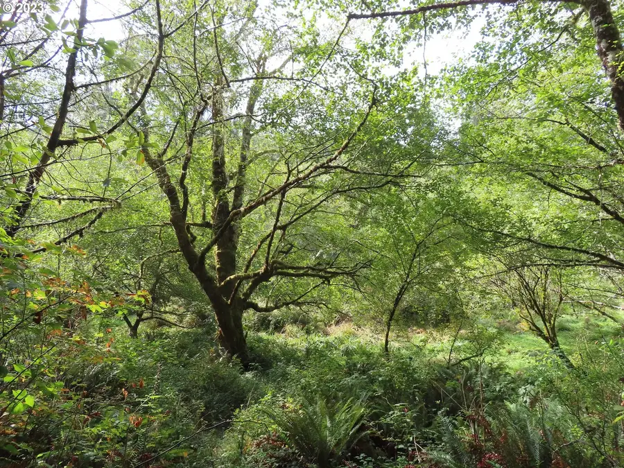 State Route 101 #2, South Bend, WA 98586 - Image #2