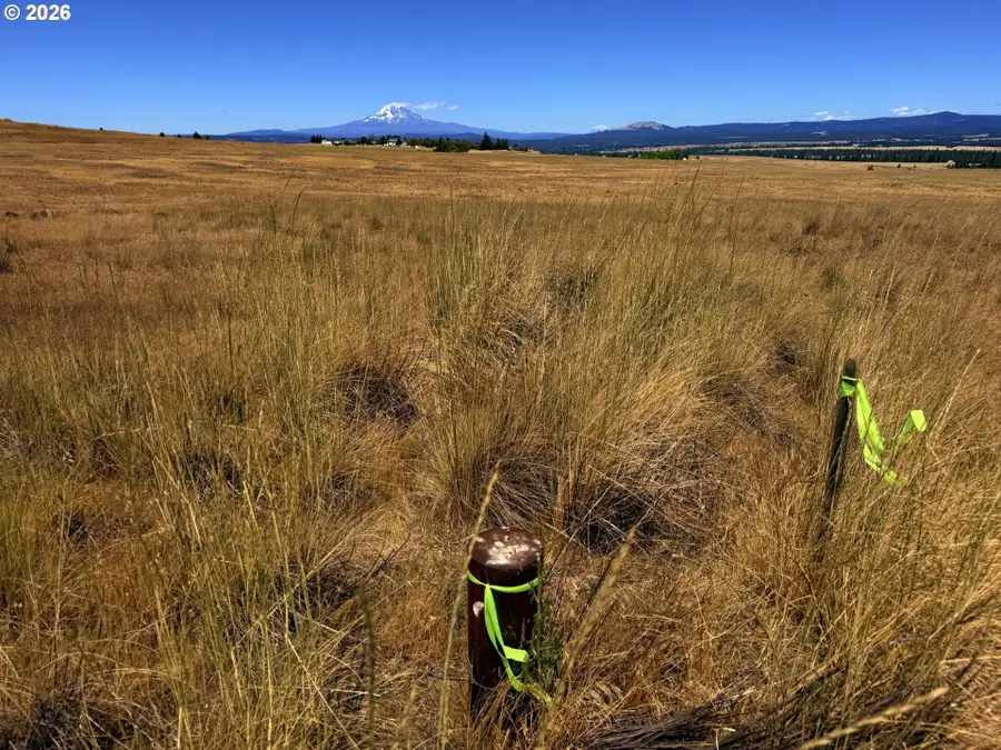 Erickson Rd #32A, Goldendale, WA 98620 - #3