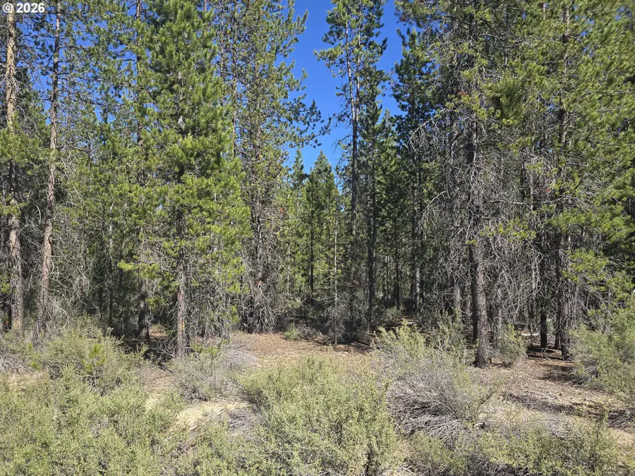 5 Mowich St, Crescentlake, OR 97733 - #2