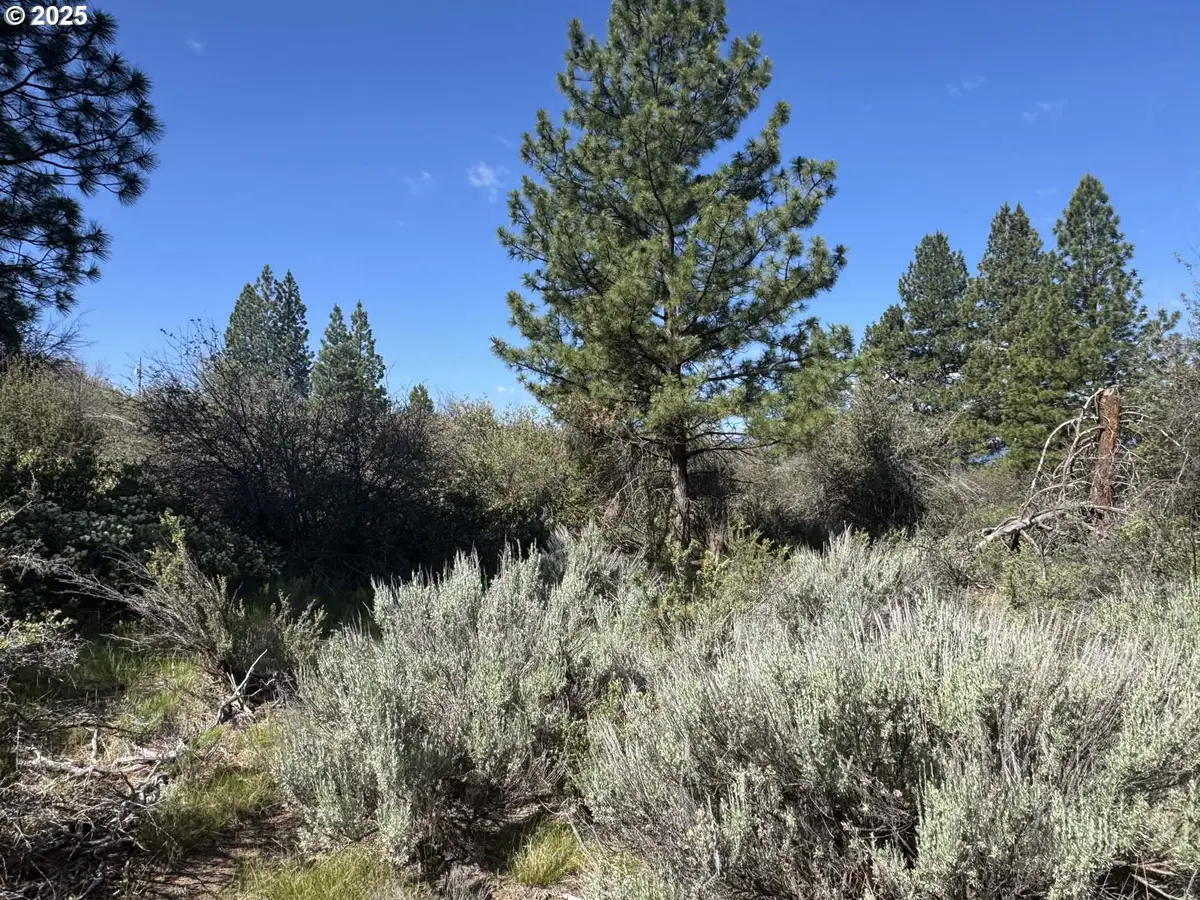 Lakeland Road #17, Chiloquin, OR 97624 - #1