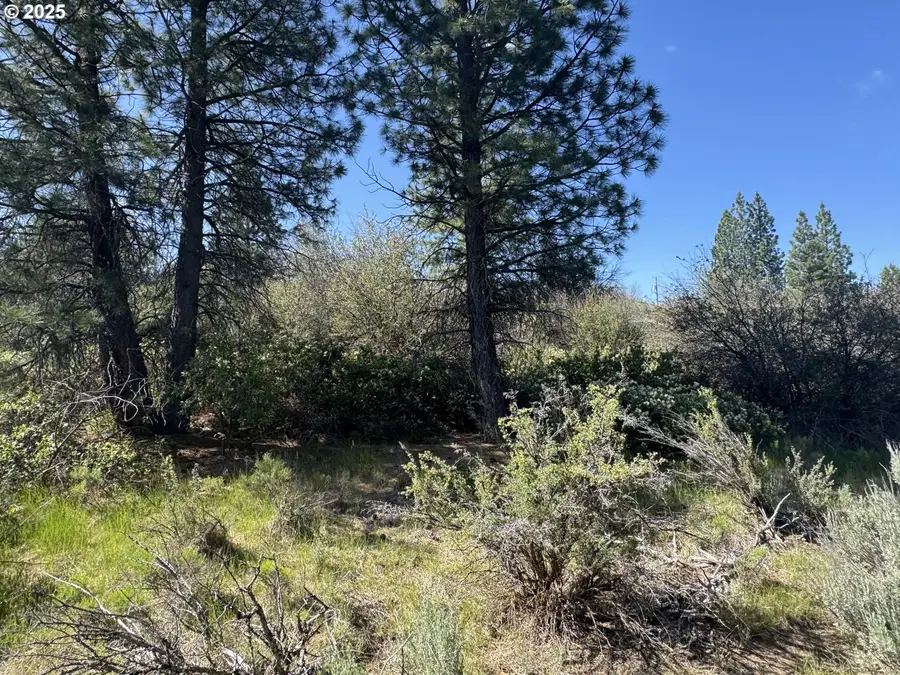 Lakeland Road #17, Chiloquin, OR 97624 - #2