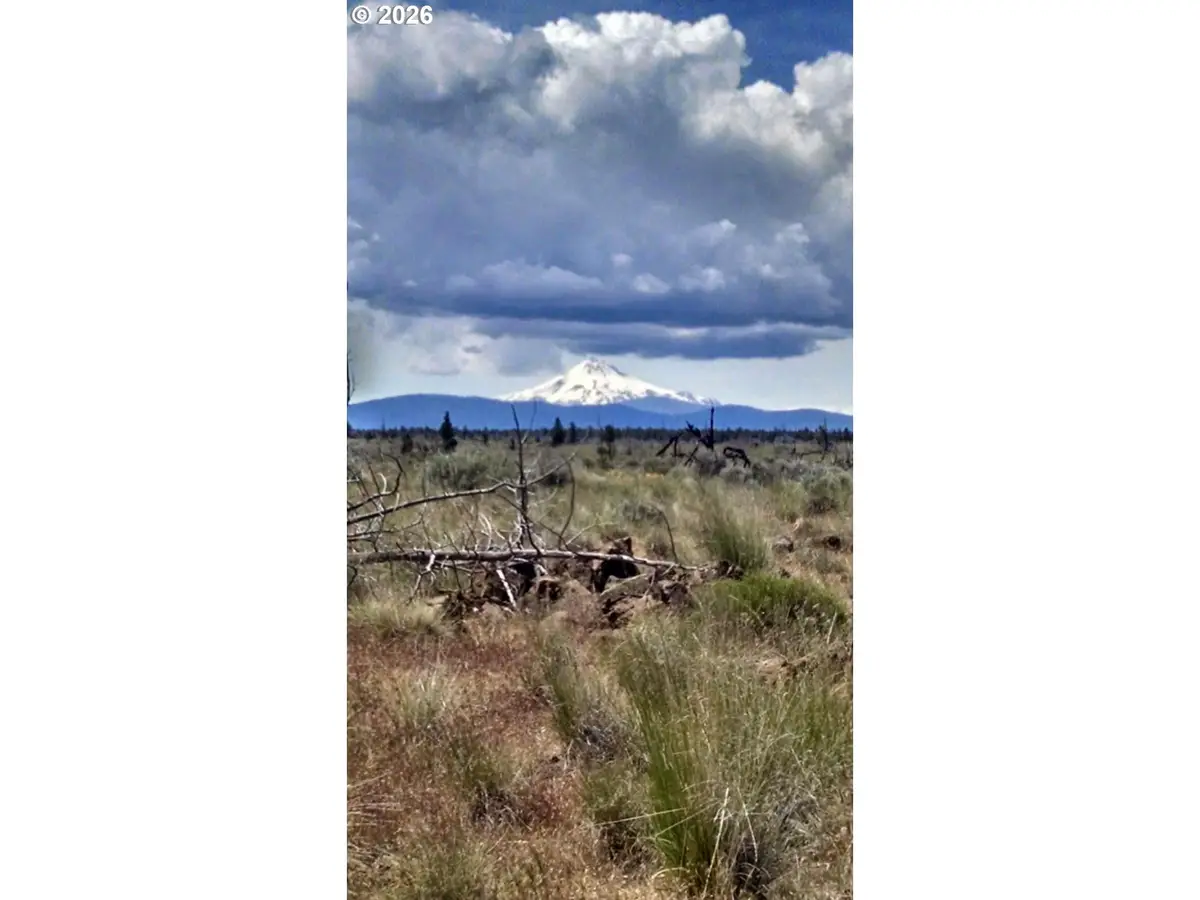 SW South Rd, Culver, OR 97734 - #1