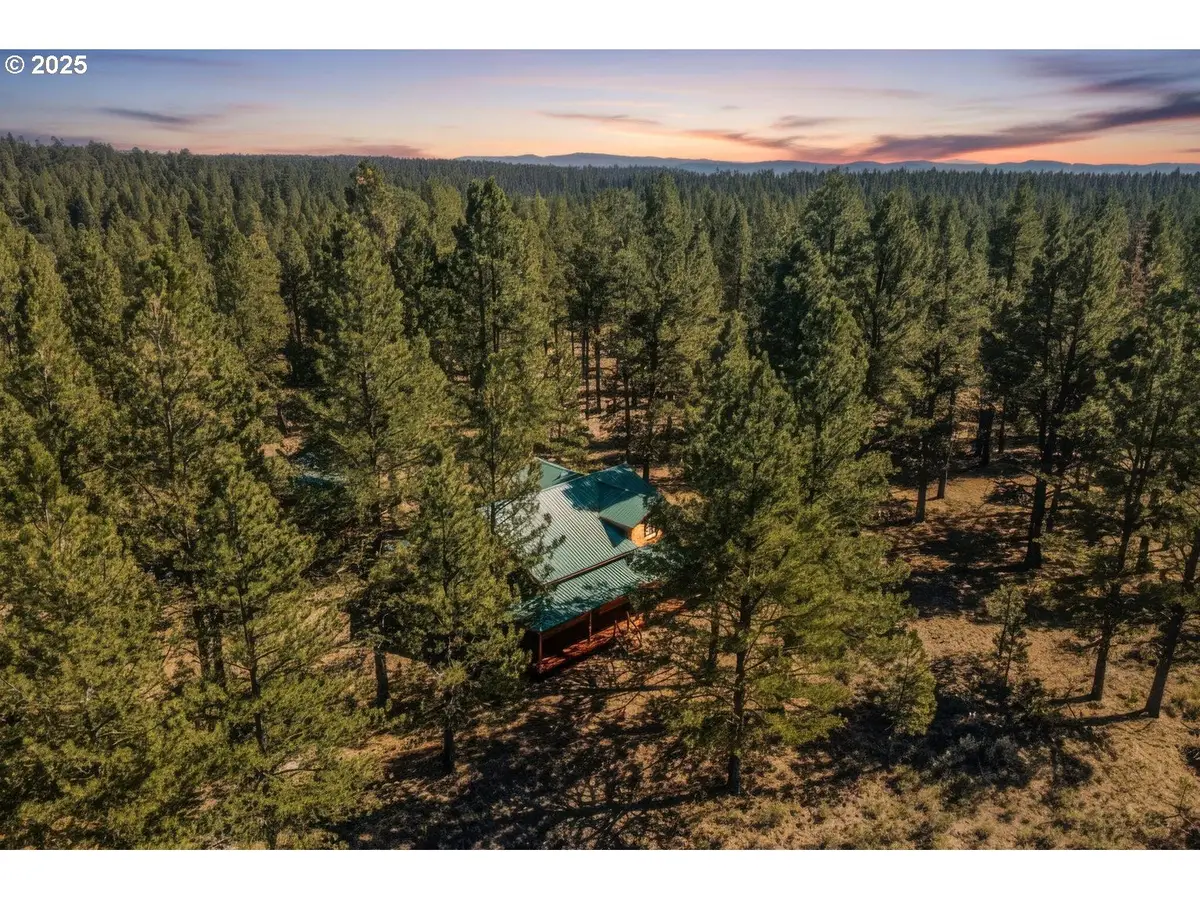 20779 Bear Gulch Rd, Canyon City, OR 97820 - #1