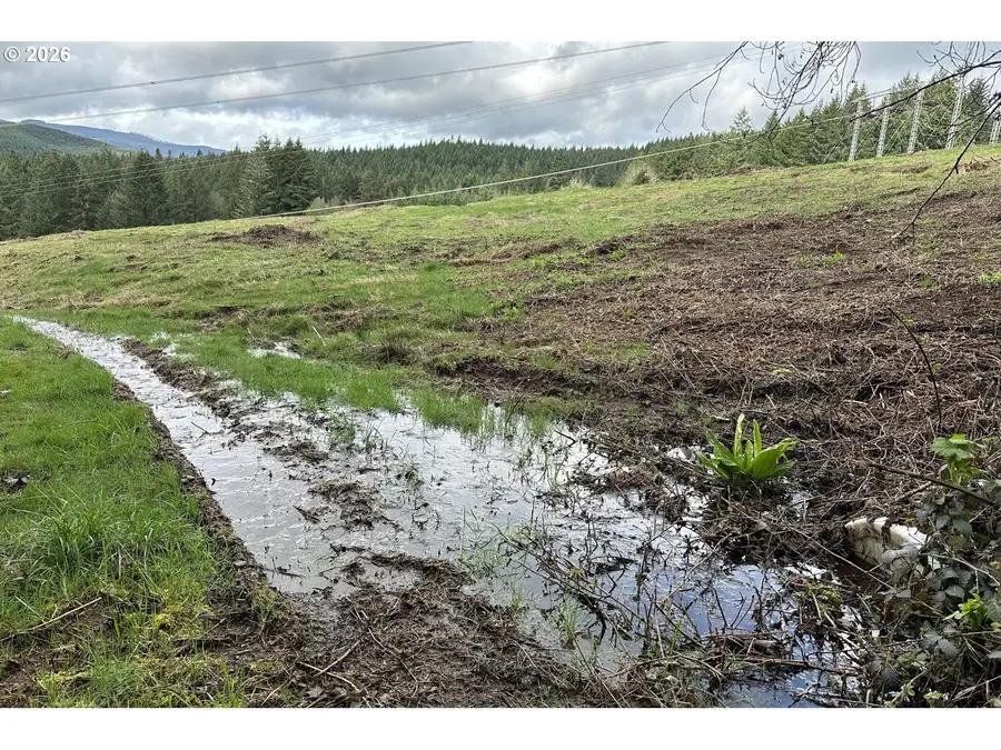 39449 Ann Ln, Marcola, OR 97454 - #2