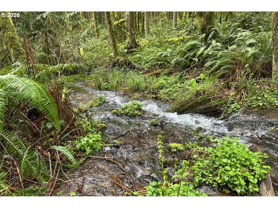 39449 Ann Ln, Marcola, OR 97454 - #3