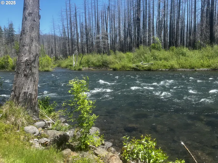 52984 Mckenzie Hwy, McKenzie River, OR 97413 - Image #3