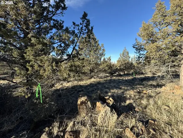 Canvasback Dr #5, Bonanza, OR 97623 - Image #3