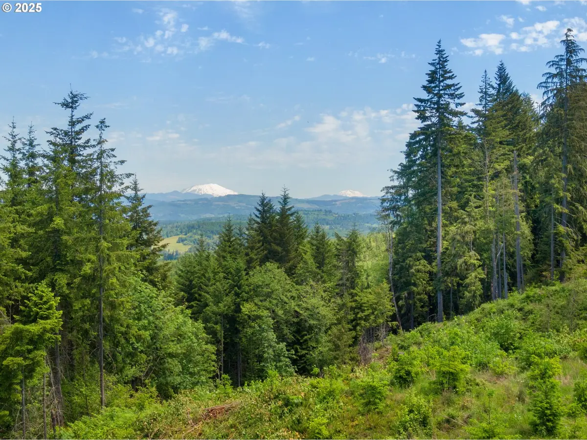 Meissner Rd, Goble, OR 97054 - #1