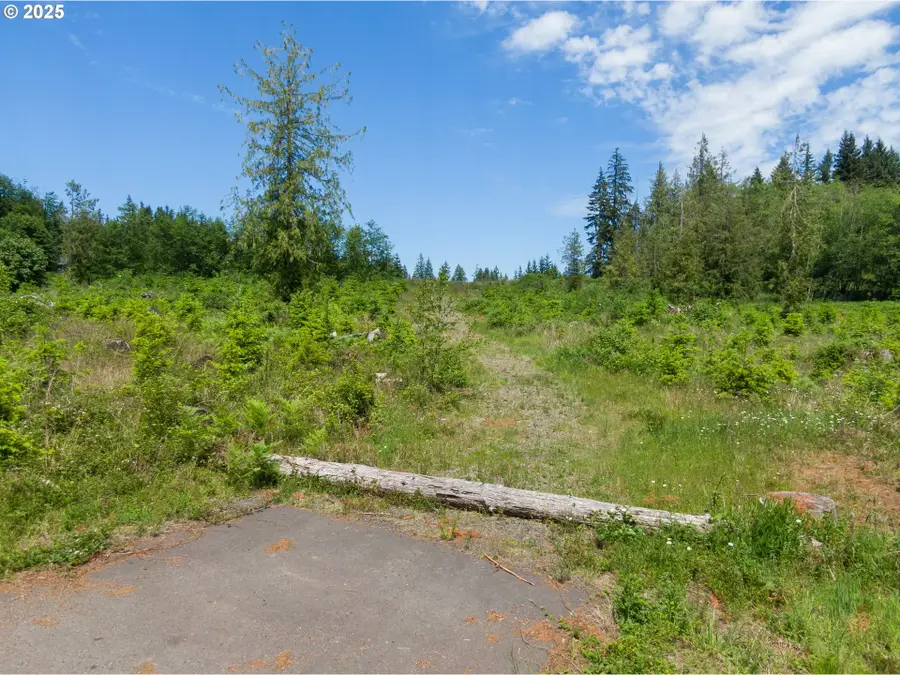 Meissner Rd, Goble, OR 97054 - #2