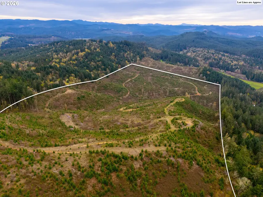 00 Erickson (tl300) Rd #300, Eugene, OR 97405 - #2