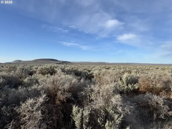 Anne Ln, ChristmasValley, OR 97641