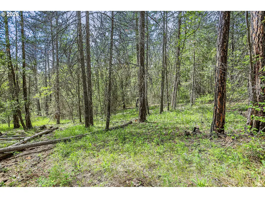 Nka Forest Glen Dr #37, Goldendale, WA 98620 - #2