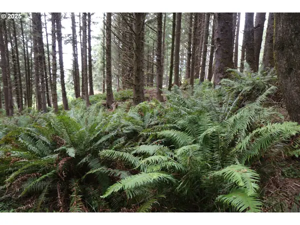 Hwy 101, CannonBeach, OR 97110