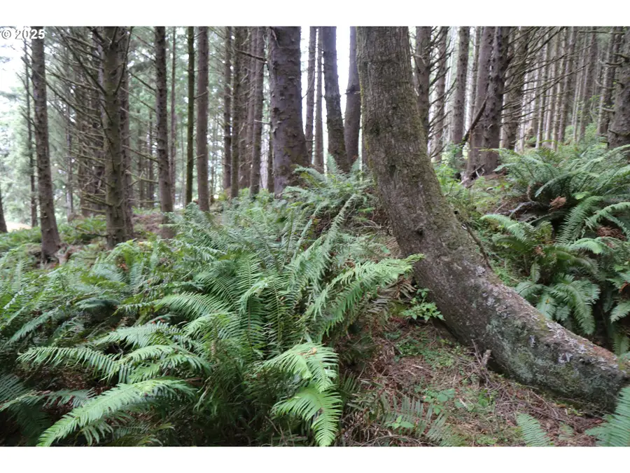 Hwy 101, Arch Cape, OR 97110 - Image #2