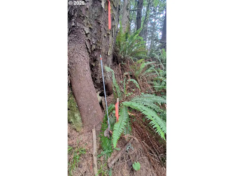 Hwy 101, Arch Cape, OR 97110 - Image #3