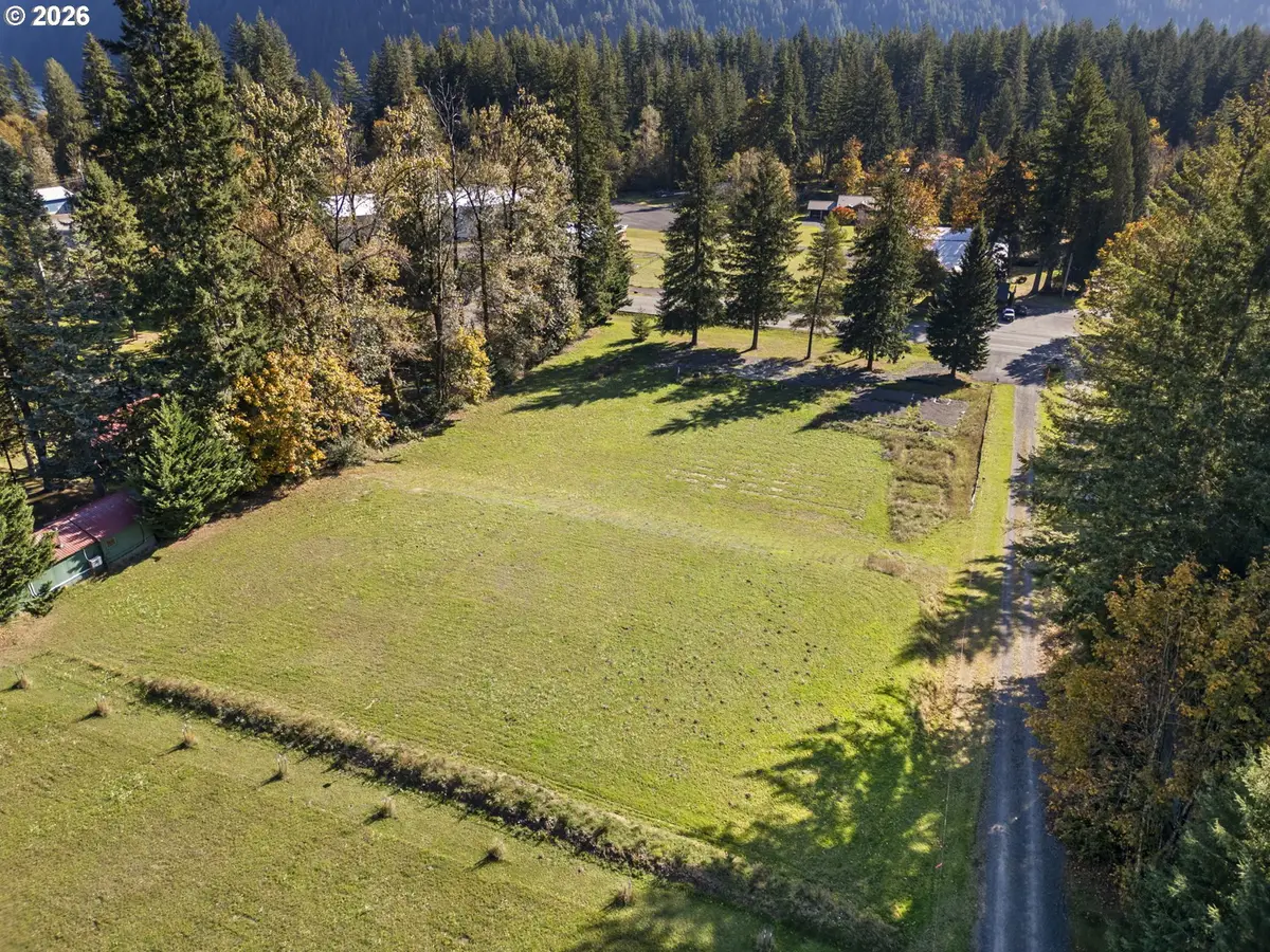 16764 Lewis River Rd, Cougar, WA 98616 - #1