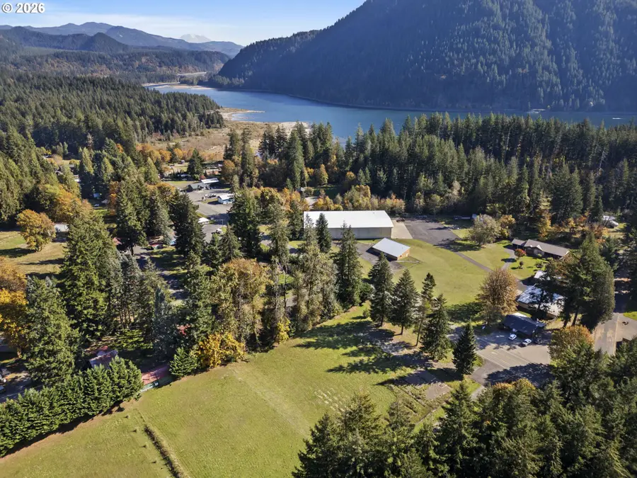 16764 Lewis River Rd, Cougar, WA 98616 - #2