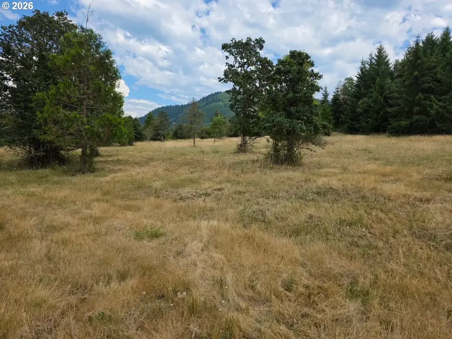 0 Hwy 58 #A, Lowell, OR 97452 - #3