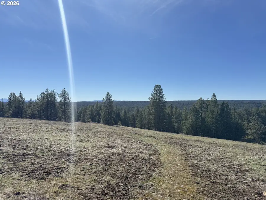 Rocky Ridge Rd, Pilot Rock, OR 97868 - #3