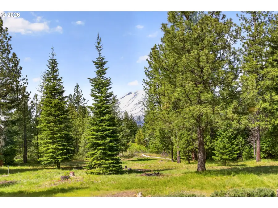 117 Jennings Rd, Trout Lake, WA 98650 - #3