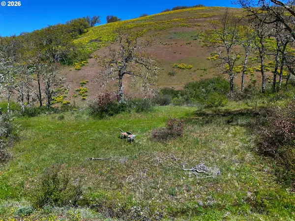 Kestrel Rd, Lyle, WA 98635