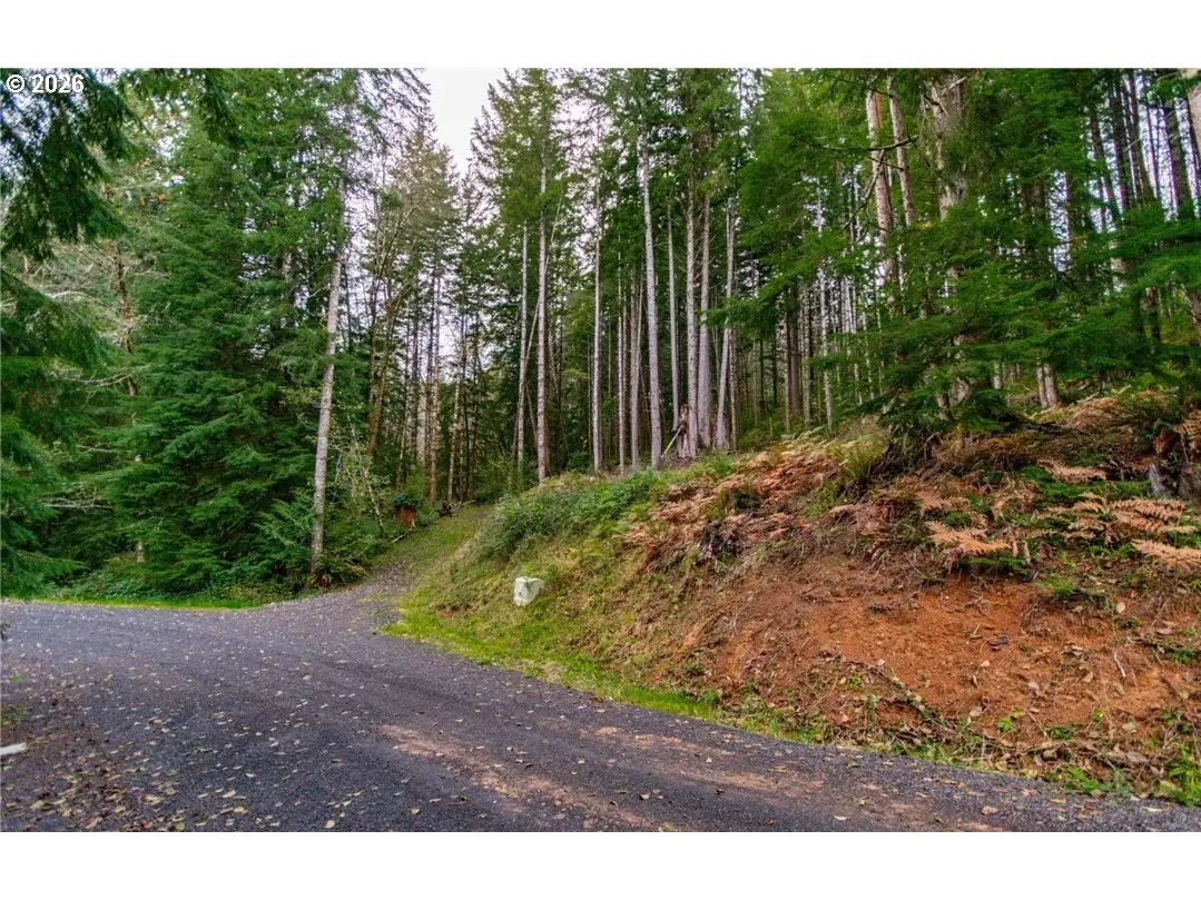 1 Lot Bison Run, Longview, WA 98632 - #1